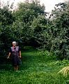 1997. jlius 30. Panyola. Joli nni s kedvenc difja.