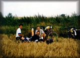 1997. augusztus 1. Fzr alatt. Reggeli breds az rpban.