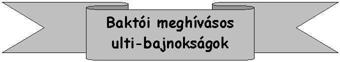 wpe1.jpg (10805 bytes)