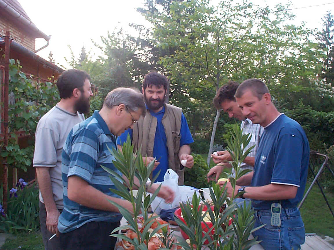 Dcp02198.jpg (390581 bytes)